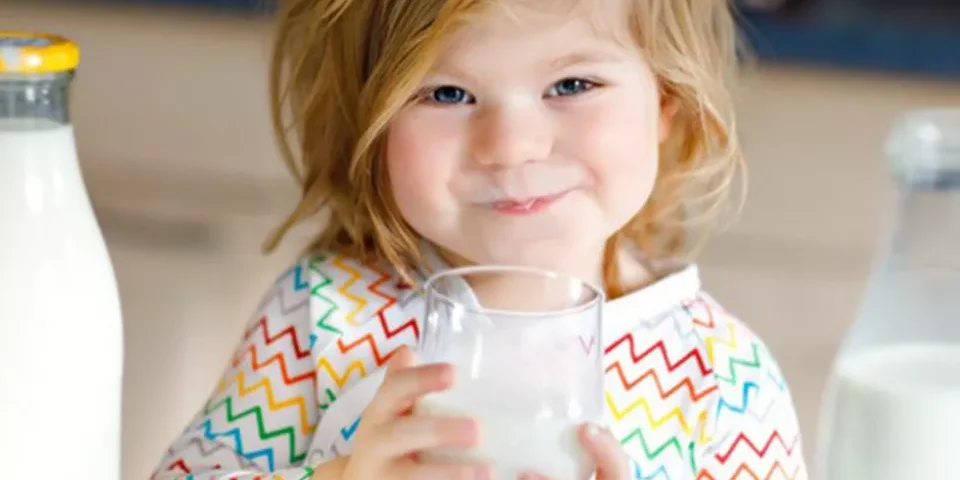 default.61144069.text_img05c.3afe9efc272a69b731a89d6ee9326605